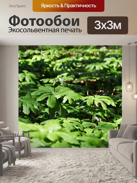 Фотообои Листья
