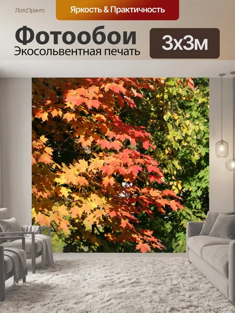 Фотообои Осенний клен и зеленый клен
