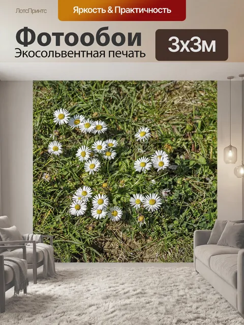 Фотообои Ромашки