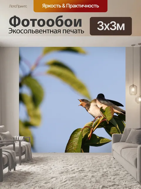Фотообои Птица