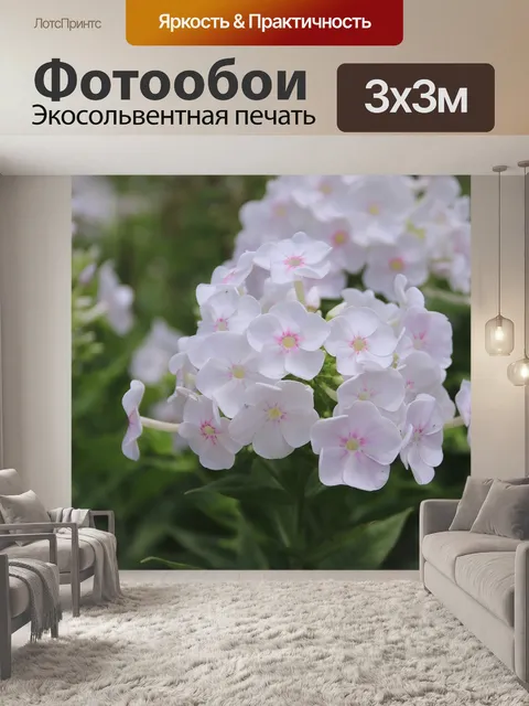 Фотообои Цветы