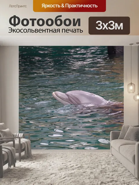Фотообои Дельфин