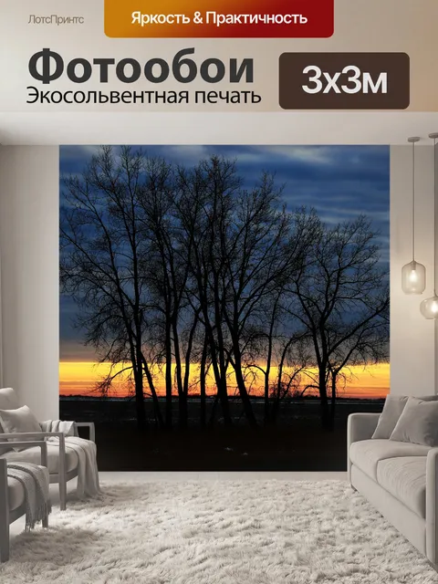Фотообои Закат за деревьями