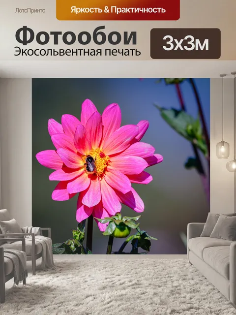 Фотообои Цветы