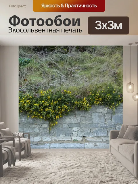Фотообои Флора висячие через стену