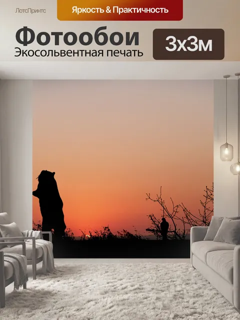 Фотообои Заход солнца