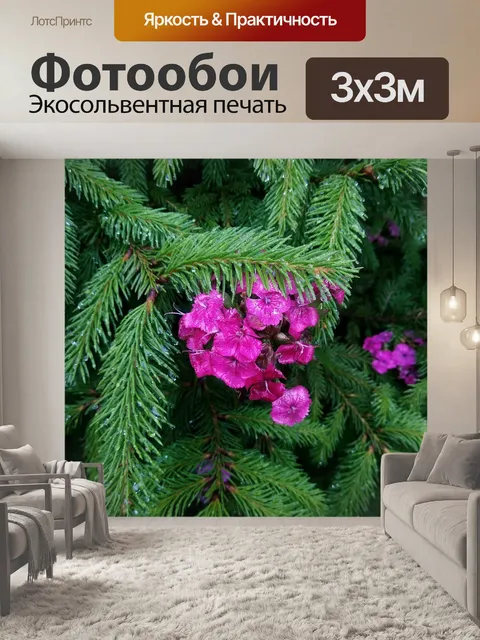 Фотообои Ель
