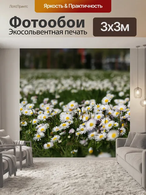 Фотообои Цветы