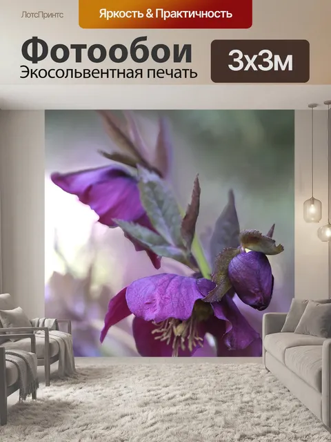 Фотообои Цветок