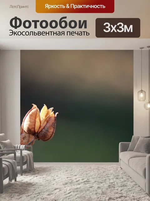 Фотообои солнечный свет на сухой шелухе семян