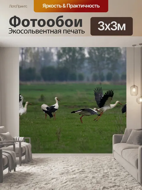 Фотообои Аист