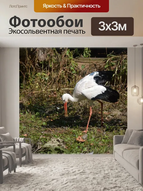 Фотообои Аист 1
