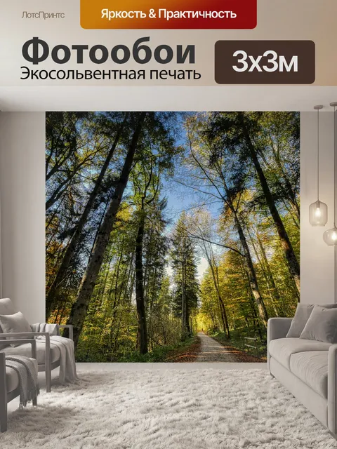 Фотообои Лес