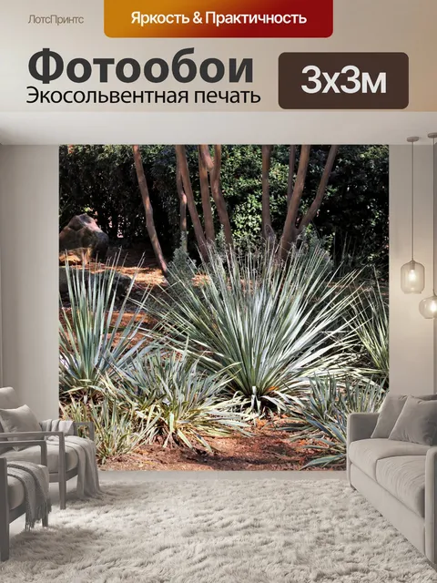 Фотообои Юккаские растения в парке