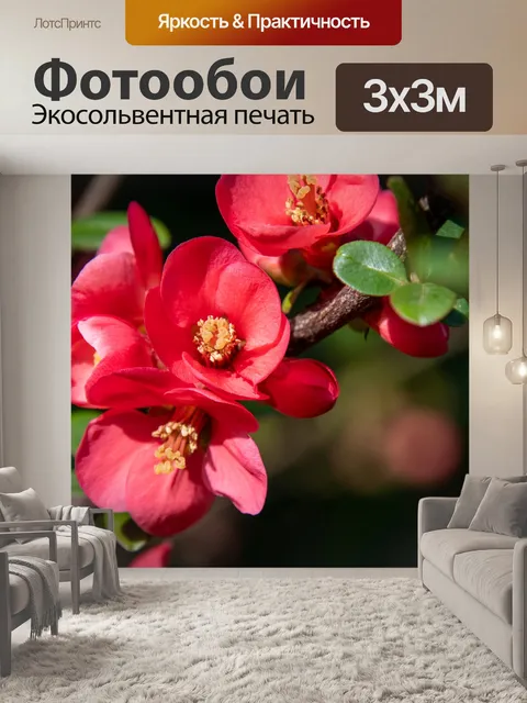 Фотообои Красные цветы, расцвет