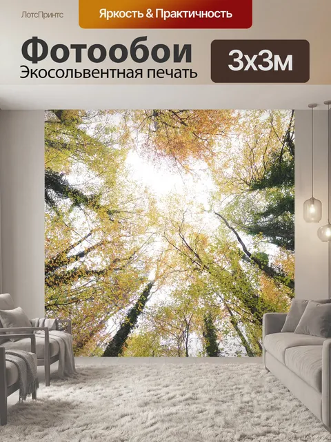 Фотообои Лес