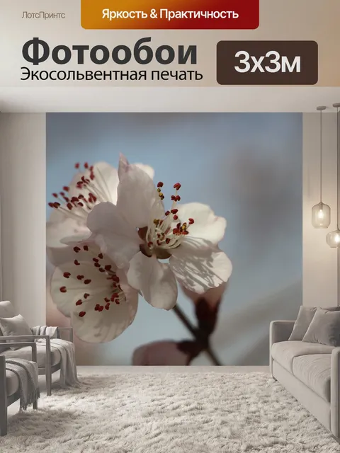 Фотообои Персиковый цвет