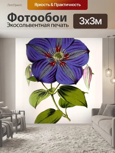 Фотообои Клематис цвести цветок винтаж