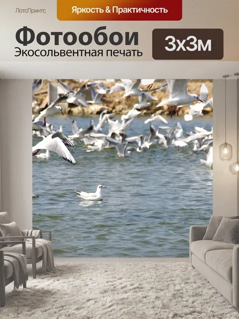 Фотообои Чайки хлопают в воздухе