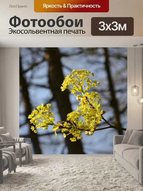Фотообои Цветы