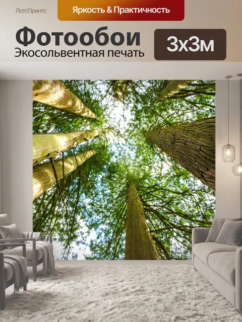 Фотообои Деревья Ирландии