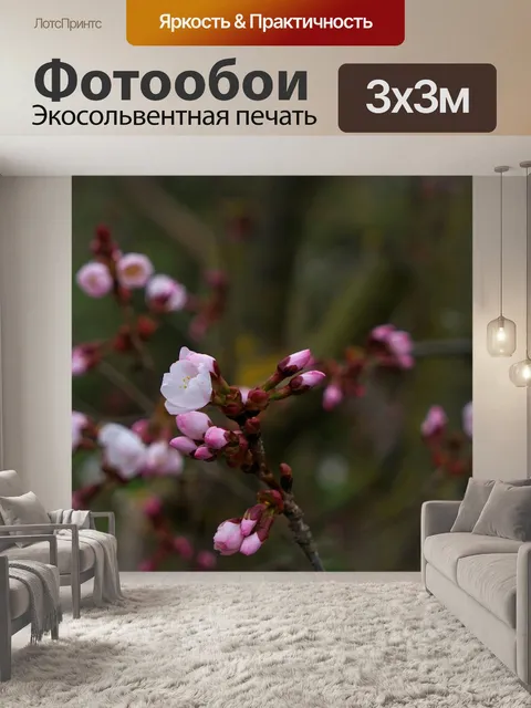 Фотообои Цветение вишни