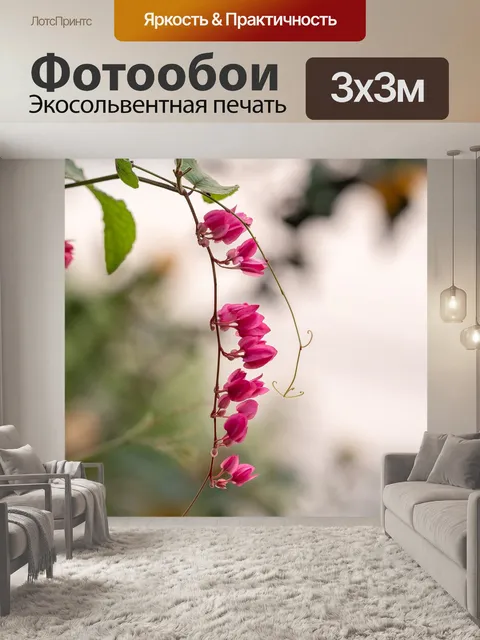 Фотообои Цветок орхидеи