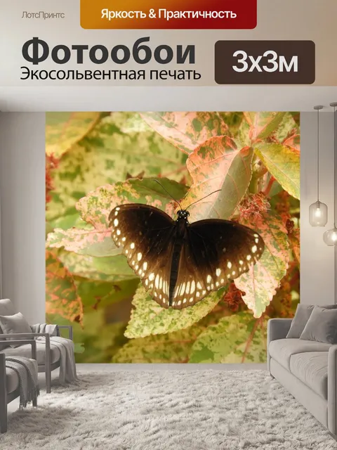 Фотообои Браун