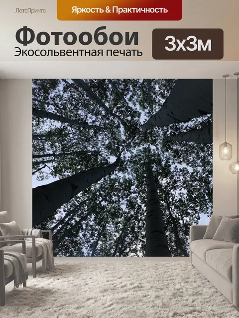 Фотообои Лес