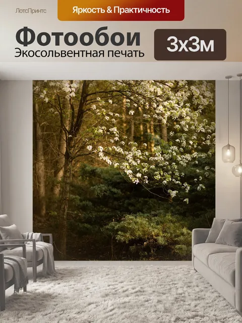 Фотообои Цветы