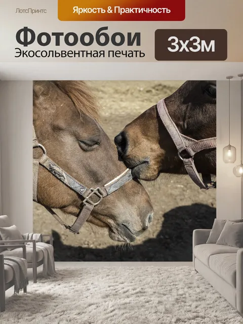 Фотообои Лошадь