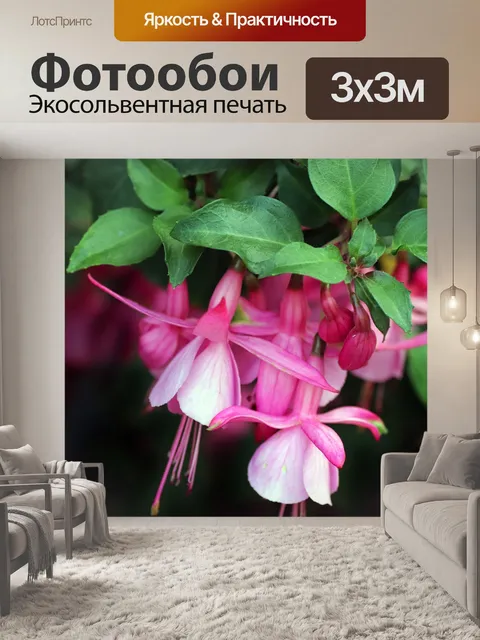 Фотообои Цветы