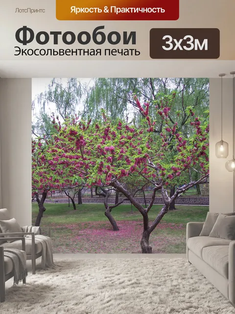 Фотообои Цветущие деревья