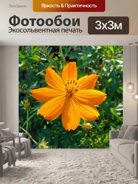 Фотообои Космос