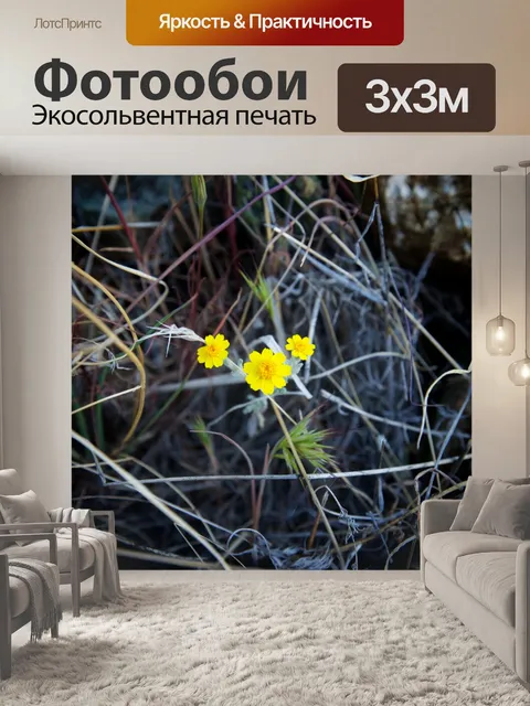 Фотообои Три Желтые цветы