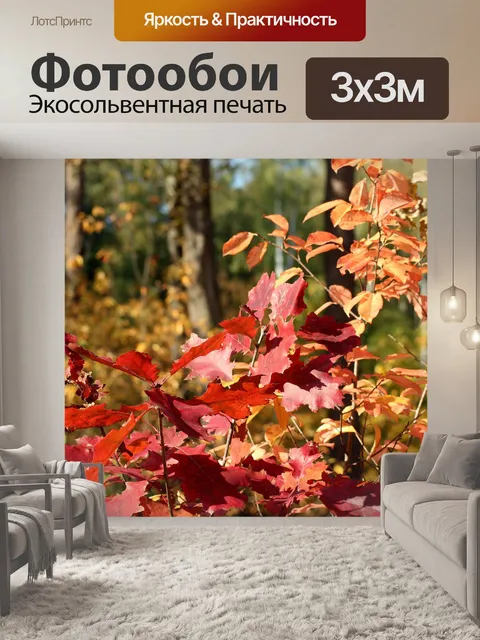 Фотообои Лес