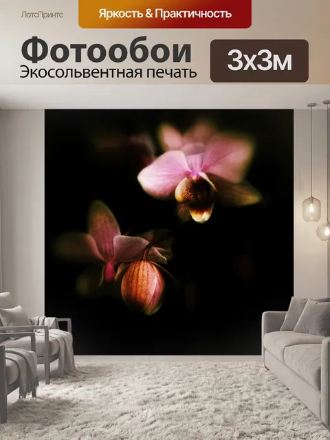 Фотообои Цветок