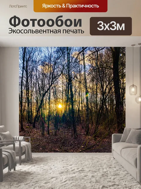 Фотообои Лес