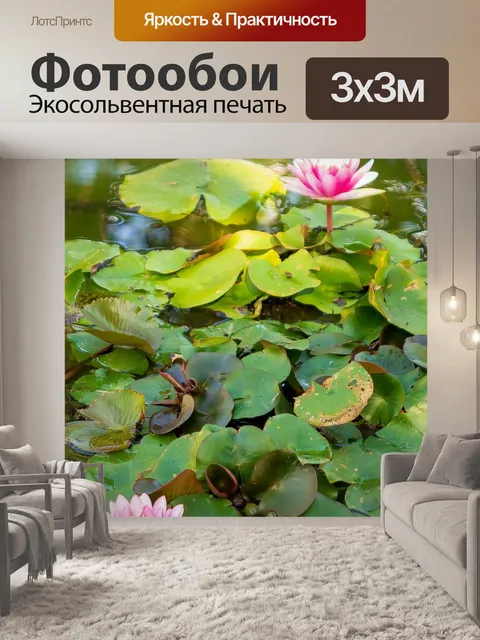 Фотообои Природа