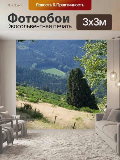 Фотообои Черный лес
