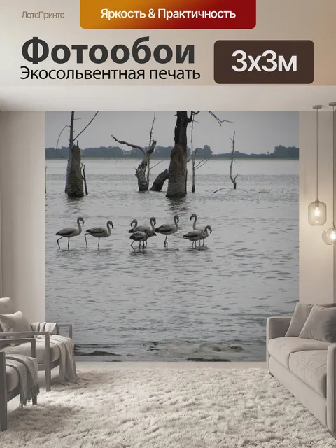 Фотообои Фламинго