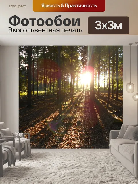 Фотообои Лес