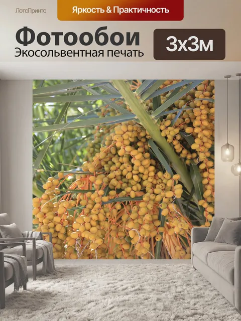 Фотообои Дерево