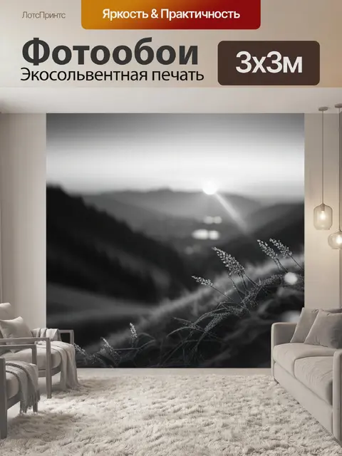 Фотообои пейзаж с закатом легко чернобелый