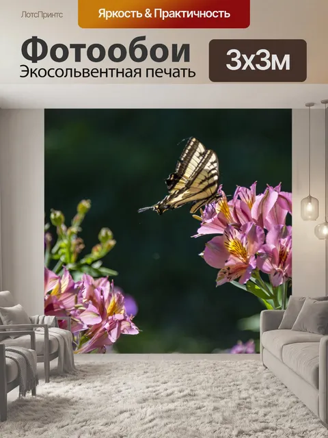 Фотообои бабочка на цветах