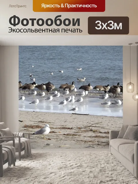 Фотообои Птицы