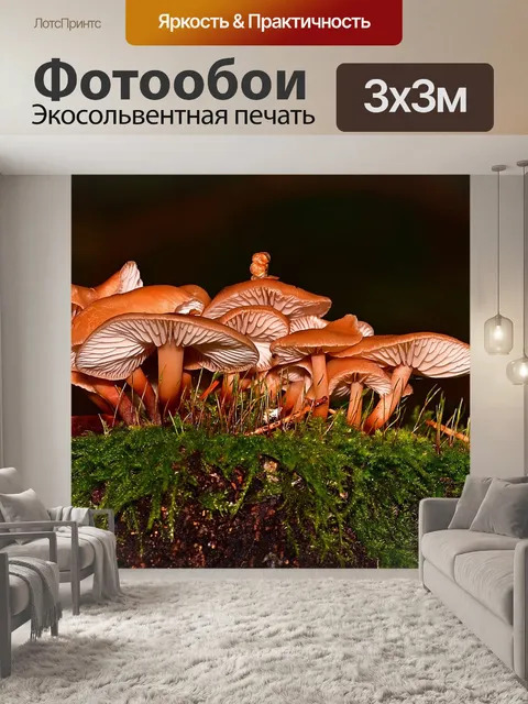 Фотообои Лес