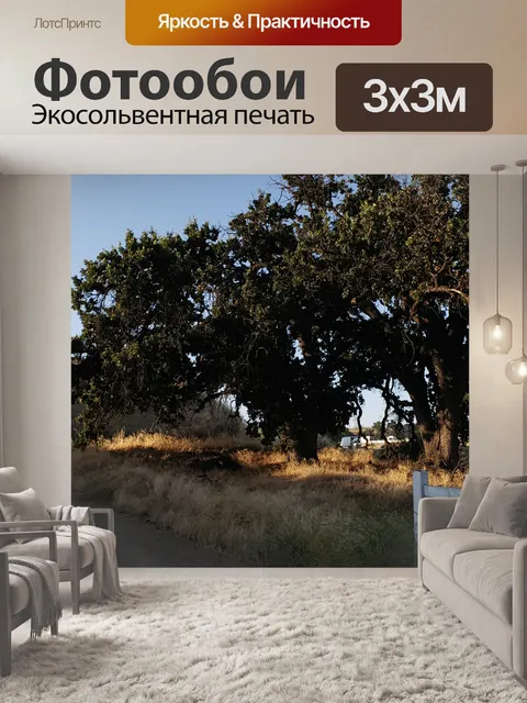 Фотообои Рано утром пейзаж дуба