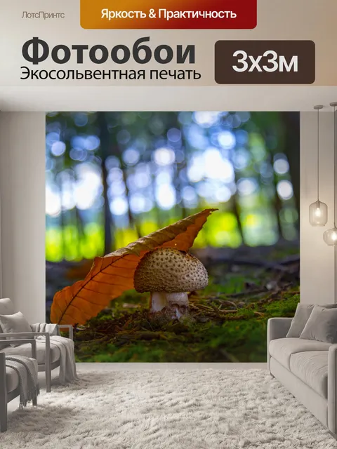 Фотообои грибы