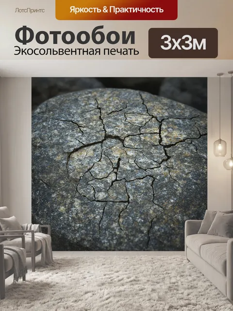 Фотообои камень, в которых ботанические мотивы переплетаются с текстурой окаменелостей, которые были найдены в…